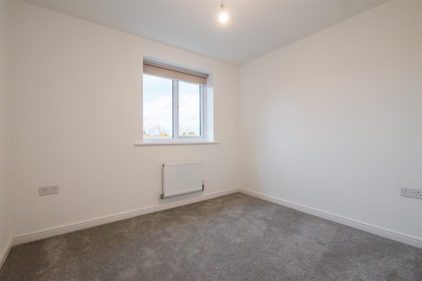 3 Bedroom House To Rent image 8